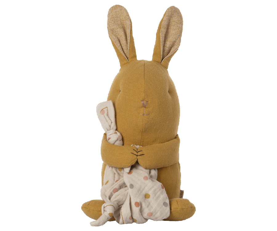 Lullaby friends, Bunny